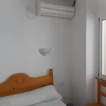 Paco Pepe *