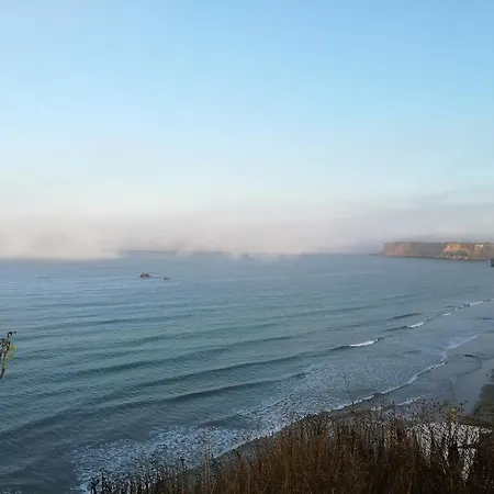 Paco Pepe Коніль-де-ла-Фронтера